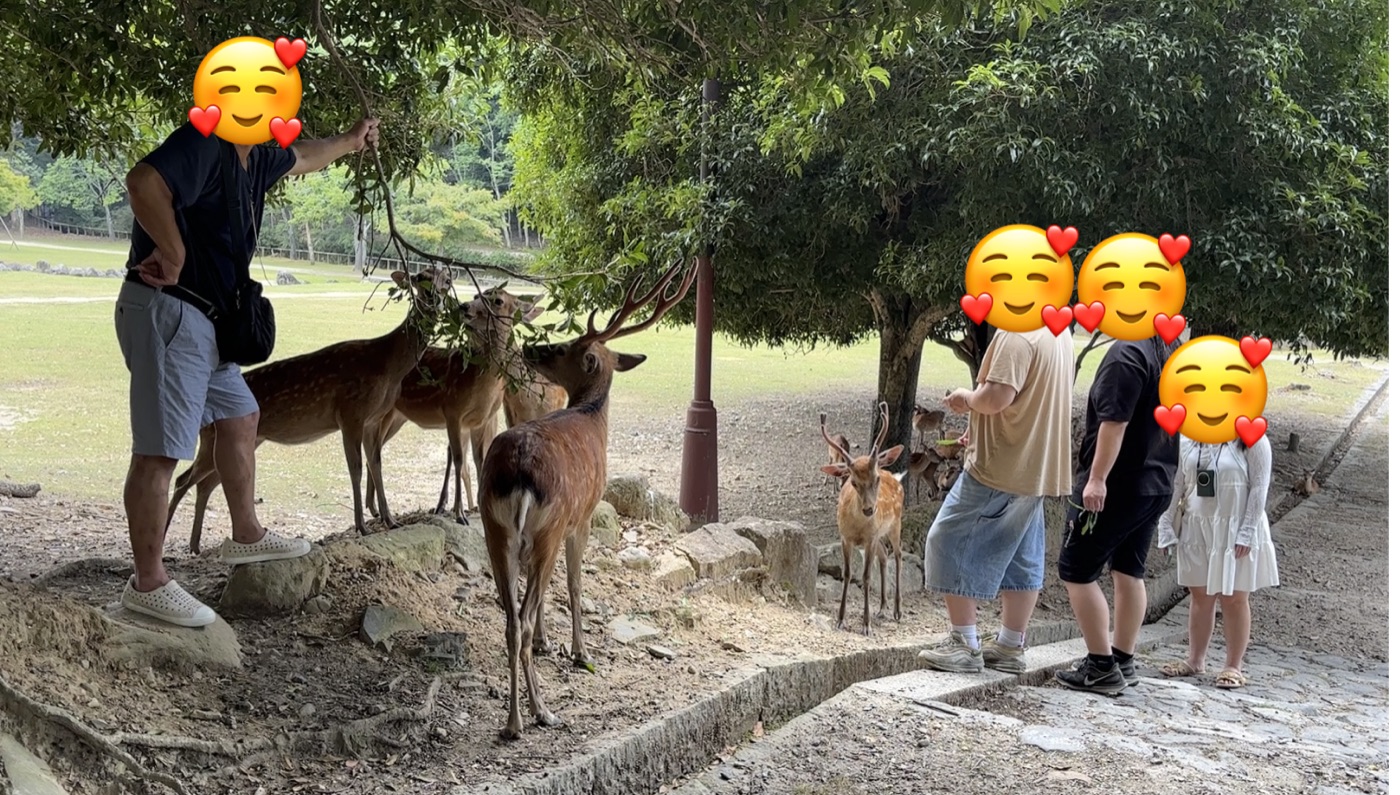 奈良公園餵鹿